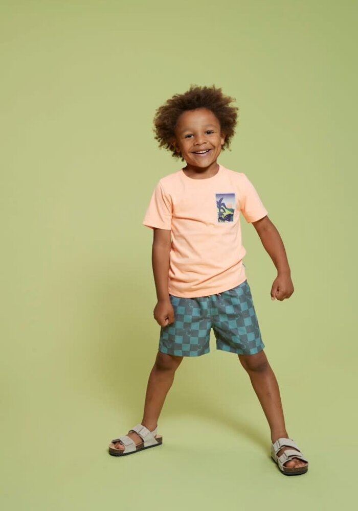 Sturdy Zwemshort ruit - Lagoon Legends Petrol