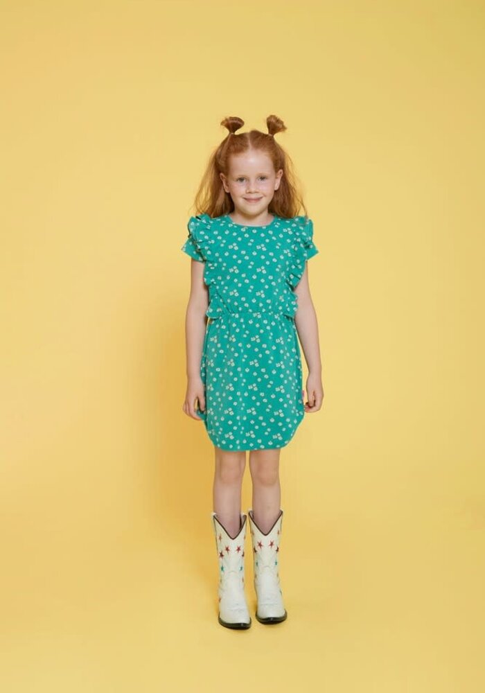 Jubel Jurk AOP - Rolling into Spring Groen