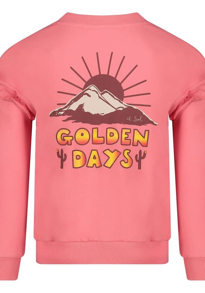 Jubel Sweater met backprint - Salsa Sunset Roze