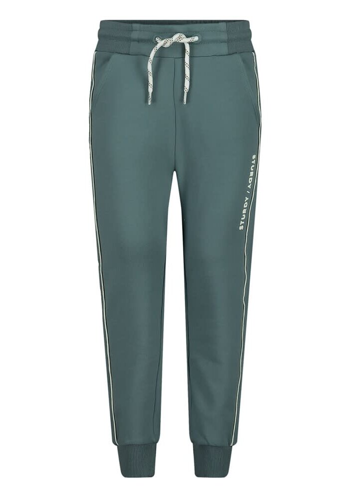 Sturdy Broek - Lagoon Legends Petrol