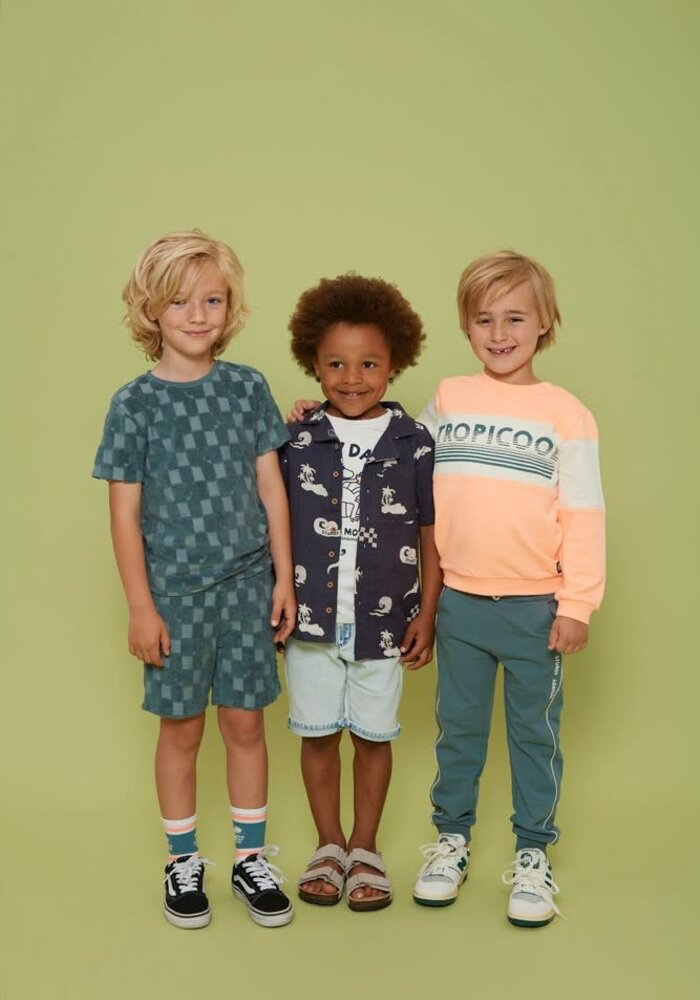 Sturdy Broek - Lagoon Legends Petrol