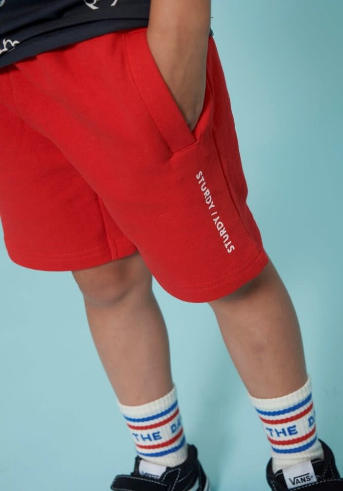 Sturdy T-shirt AOP - Run the Day Antraciet