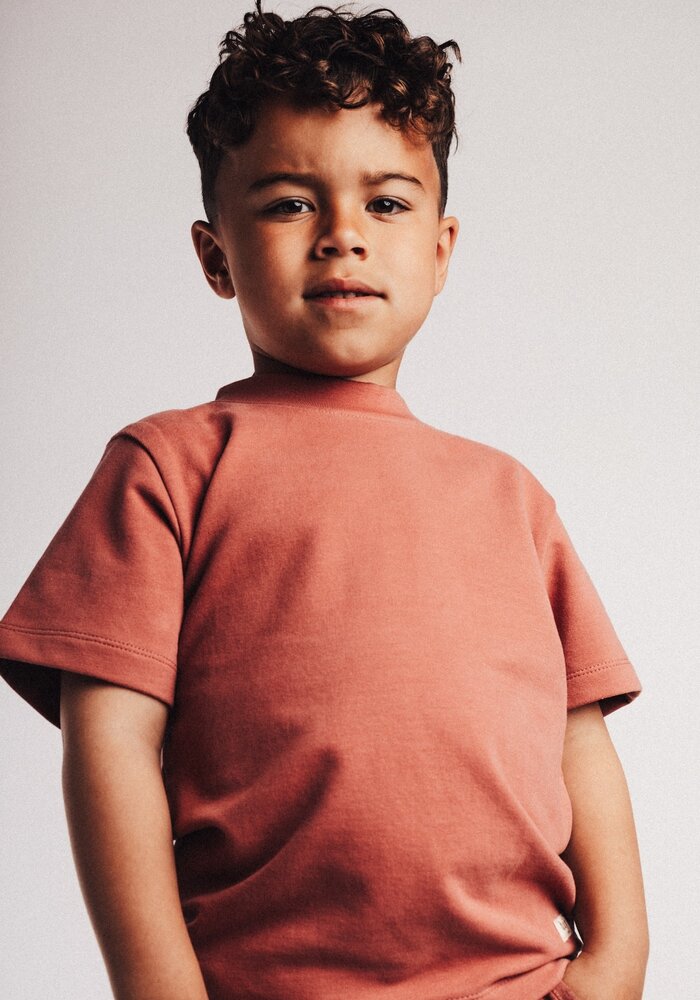 Baje Studio Leon Red mahagony