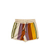 Salted Stories Multi Stripe | Shorts Multicolor