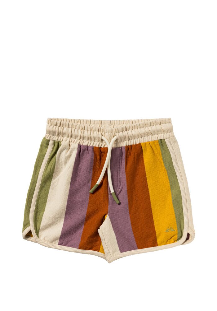 Salted Stories Multi Stripe | Shorts Multicolor