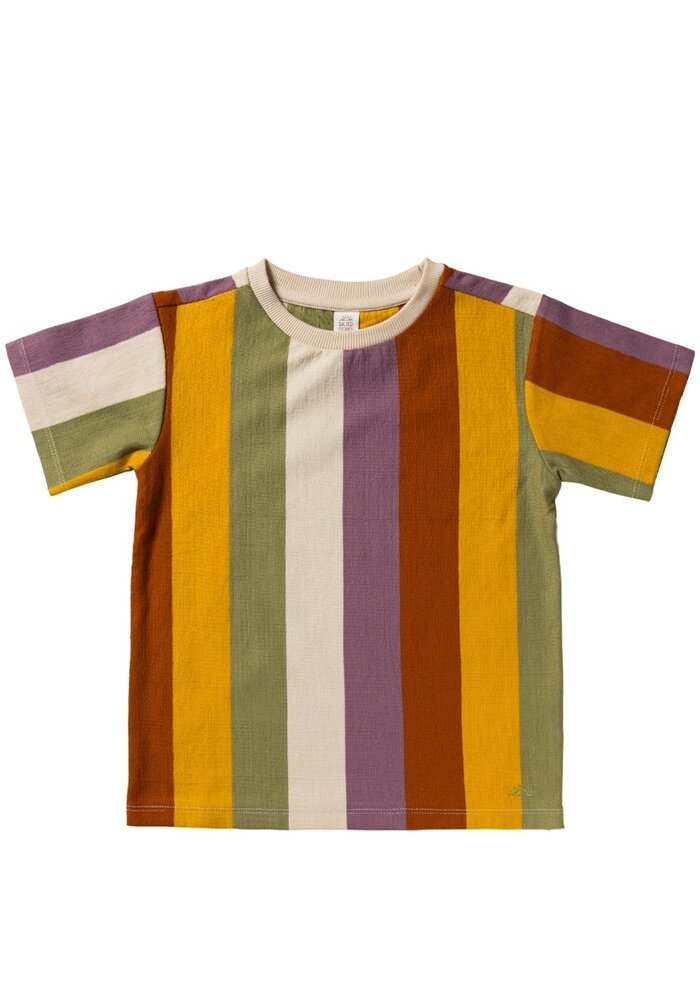 Salted Stories Multi Stripe | Regular Tee Multicolor