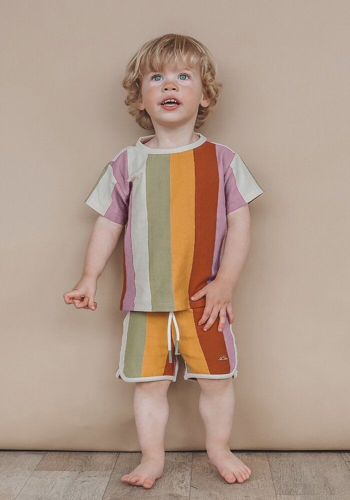 Salted Stories Multi Stripe | Regular Tee Multicolor