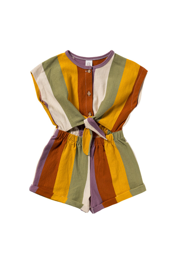 Salted Stories Multi Stripe | Tie Jumpsuit Multicolor