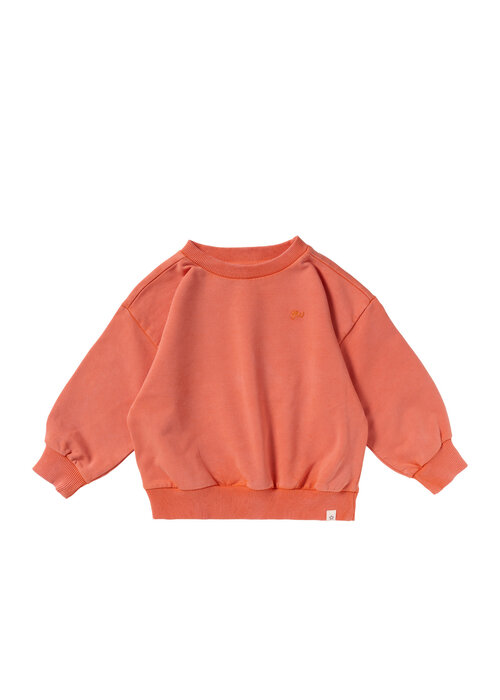 Your Wishes Your Wishes Garment Dye | Wide Sweater Burnt Sienna