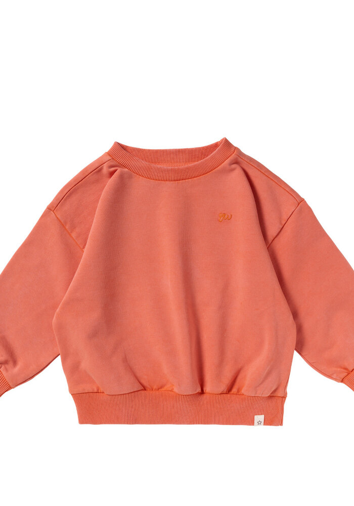 Your Wishes Garment Dye | Wide Sweater Burnt Sienna