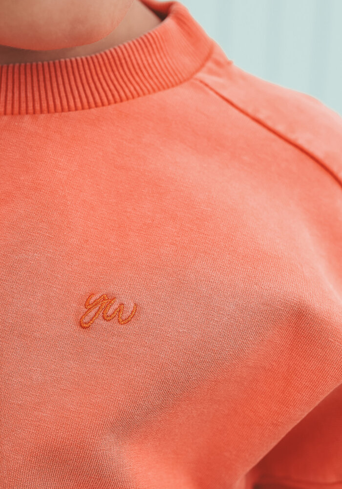 Your Wishes Garment Dye | Wide Sweater Burnt Sienna