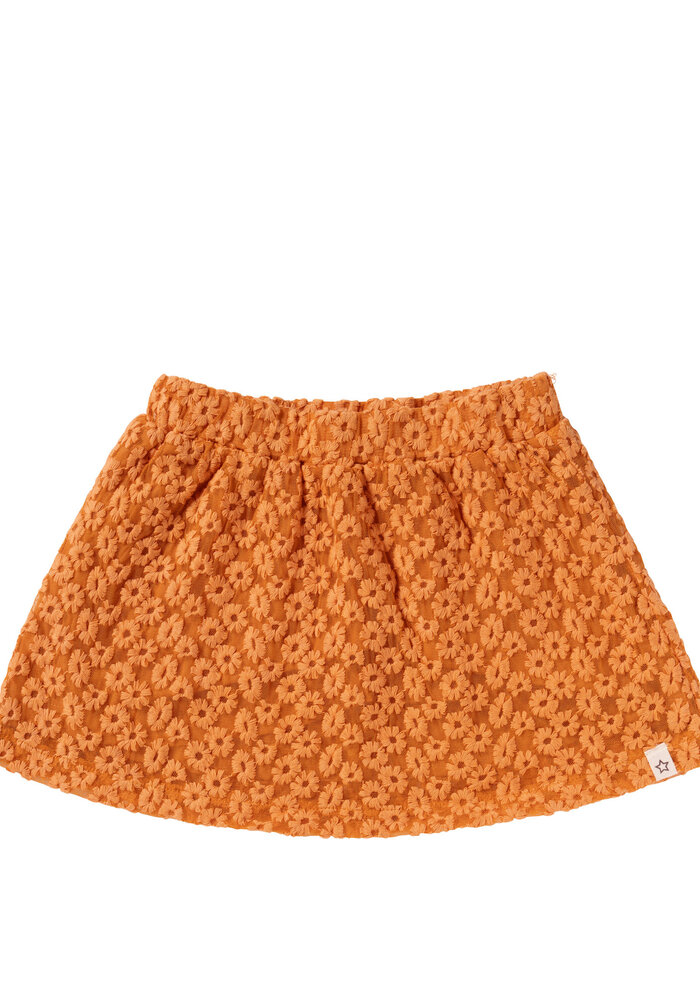 Your Wishes Embroidered Tule | Skirt Gold Earth