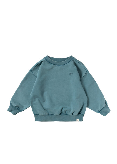 Your Wishes Your Wishes Garment Dye | Wide Sweater Dragonfly