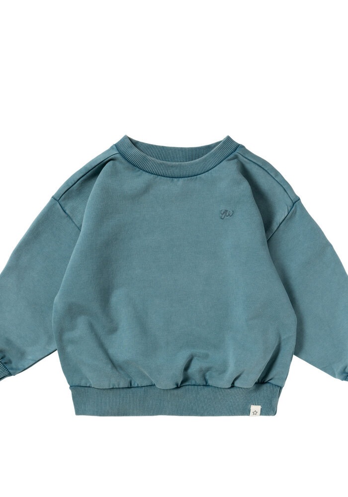 Your Wishes Garment Dye | Wide Sweater Dragonfly