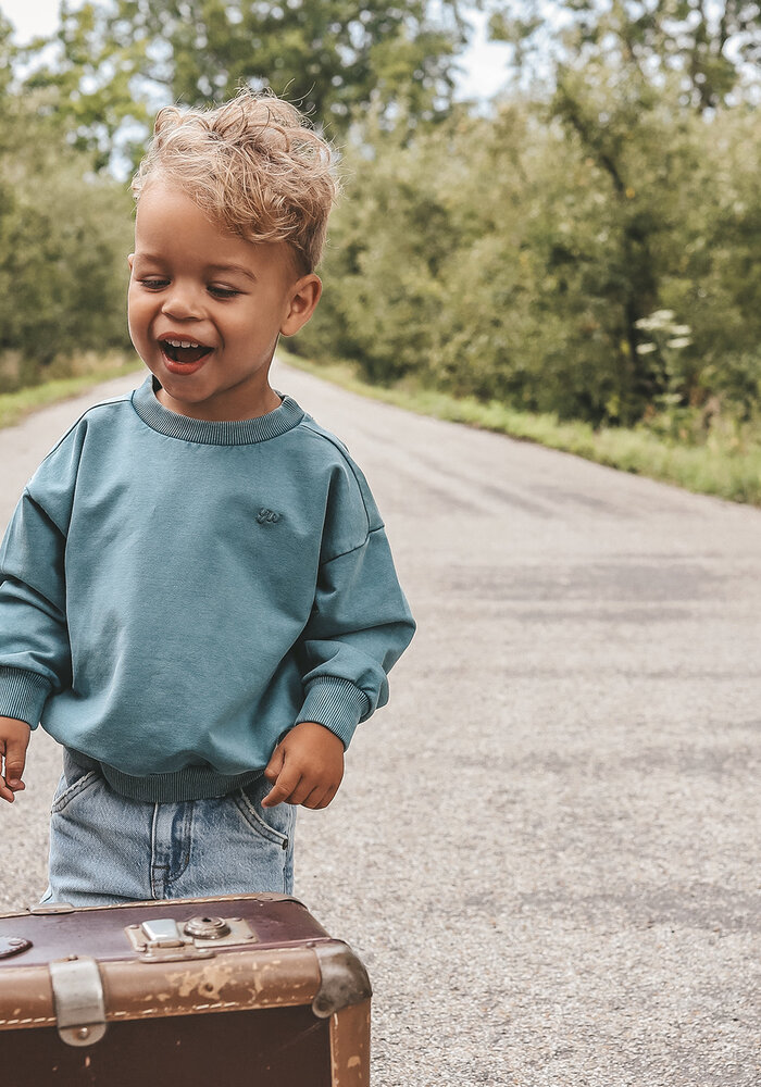 Your Wishes Garment Dye | Wide Sweater Dragonfly