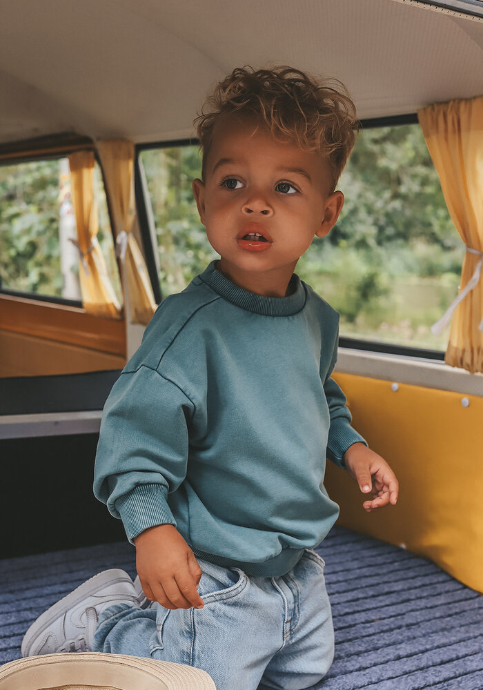 Your Wishes Garment Dye | Wide Sweater Dragonfly