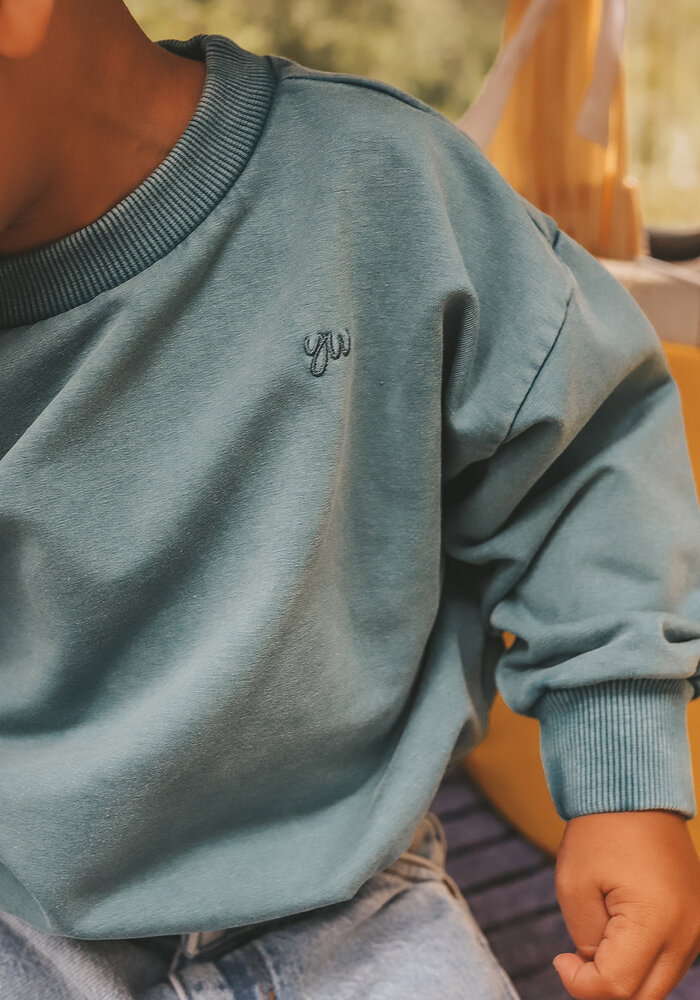 Your Wishes Garment Dye | Wide Sweater Dragonfly