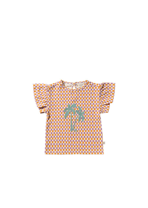 Your Wishes Your Wishes Mini Check | Ruffle Shirt Multicolor