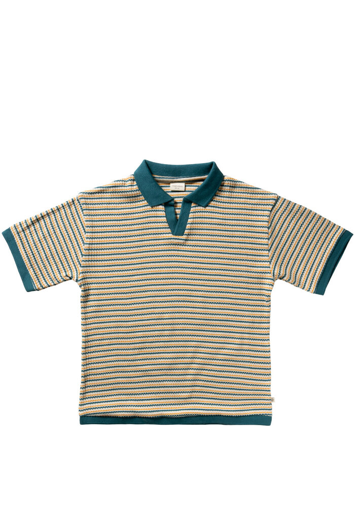 Your Wishes Warp | Casual Polo Multicolor