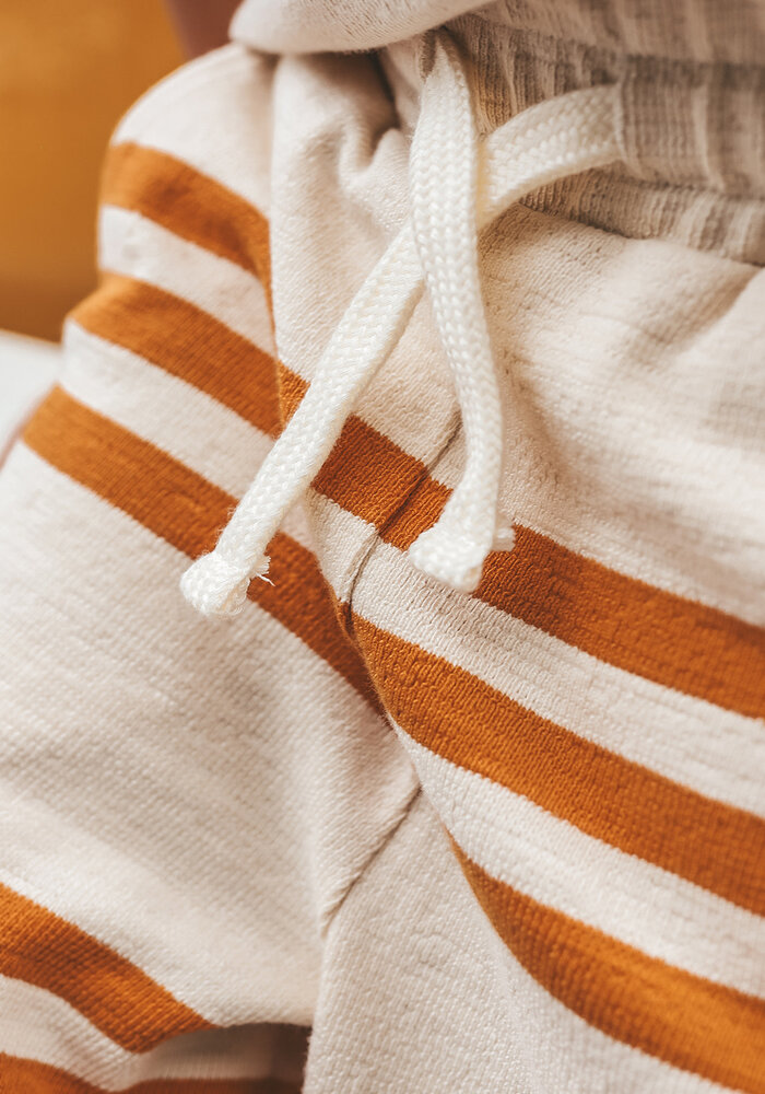 Your Wishes Triad Stripe | Bermuda Shorts Multicolor