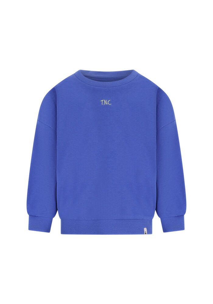 The New Chapter sweater Billie Amparo Blue
