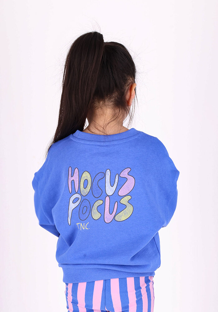 The New Chapter sweater Billie Amparo Blue