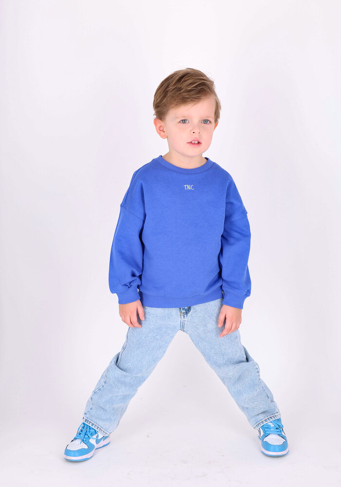 The New Chapter sweater Billie Amparo Blue