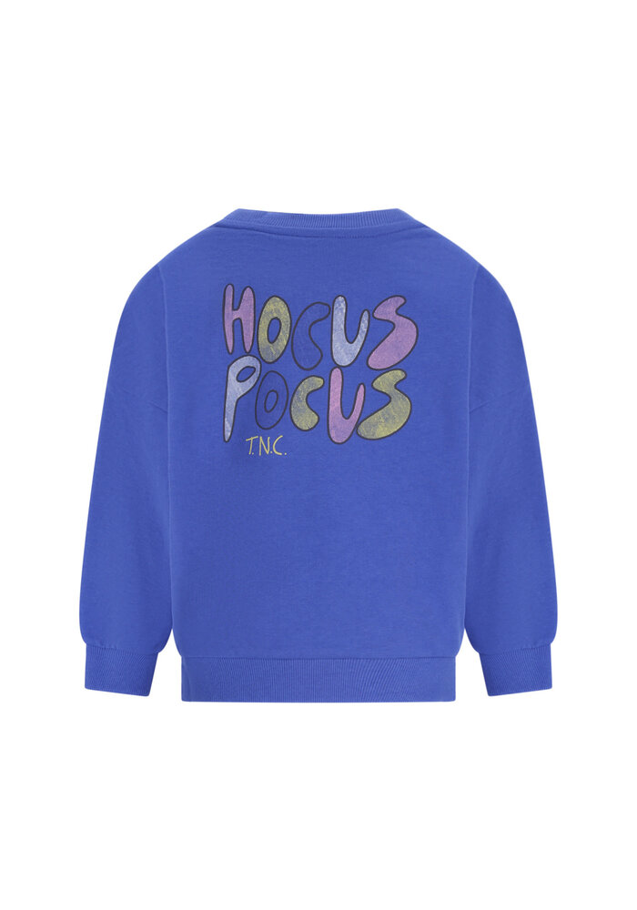 The New Chapter sweater Billie Amparo Blue