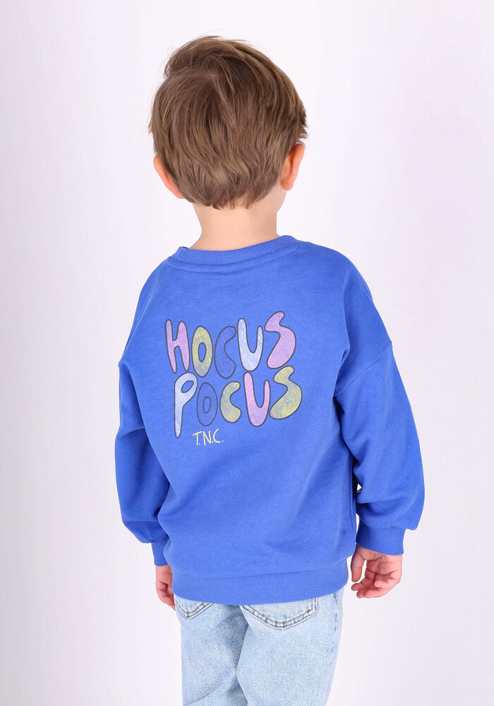 The New Chapter sweater Billie Amparo Blue