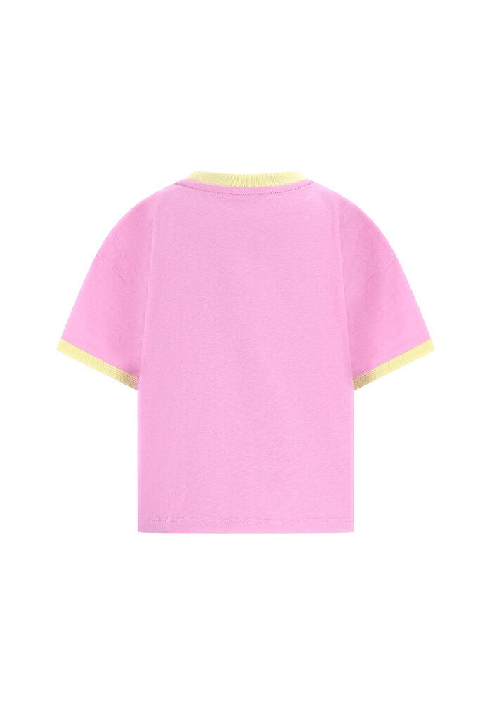 The New Chapter T-shirt Bo Mauve Mist