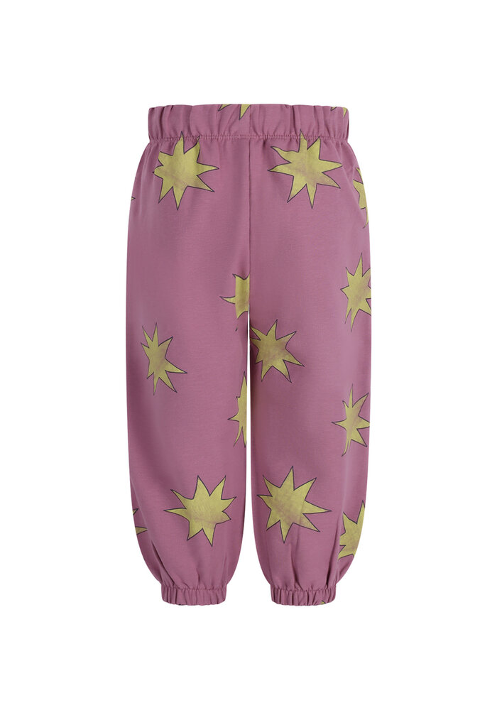 The New Chapter pants Wolf Big Stars