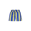 The New Chapter swimshort Vic Magic Stripes