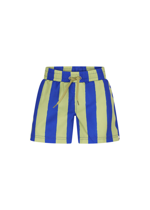 The New Chapter The New Chapter swimshort Vic Magic Stripes