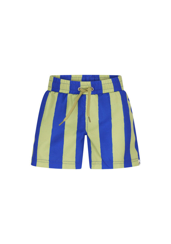 The New Chapter swimshort Vic Magic Stripes