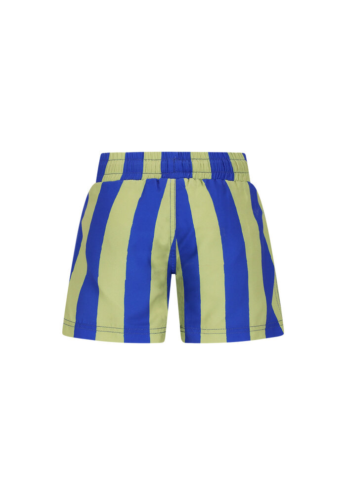 The New Chapter swimshort Vic Magic Stripes