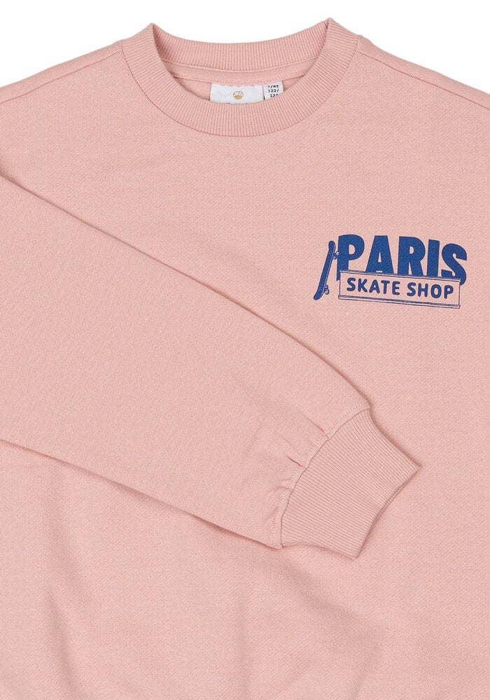 The New TNSeyn OS Sweatshirt Silver Pink