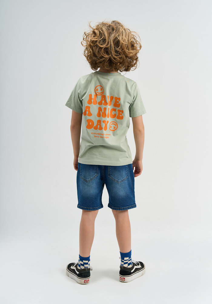 The New TNSander S_S Tee Aqua gray