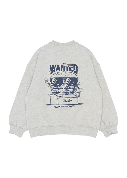 The New The New TNStevie Sweatshirt Light Grey Melange