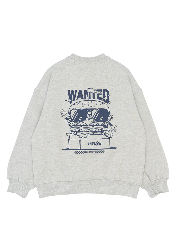 The New TNStevie Sweatshirt Light Grey Melange