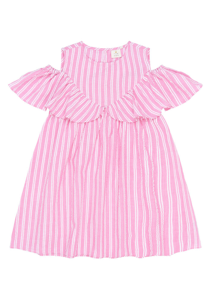The New TNShirley S_L Dress Carmine Rose Striped