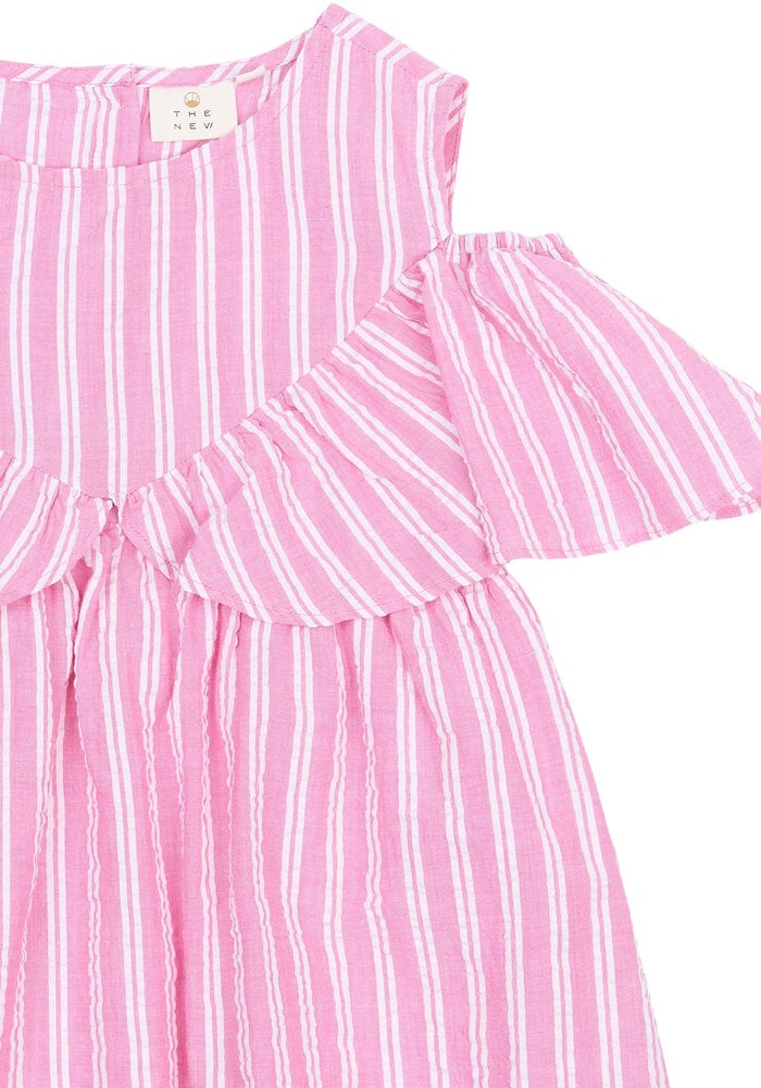 The New TNShirley S_L Dress Carmine Rose Striped