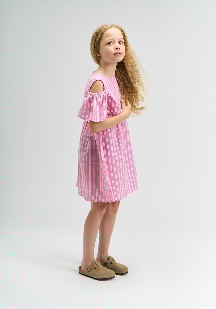 The New TNShirley S_L Dress Carmine Rose Striped