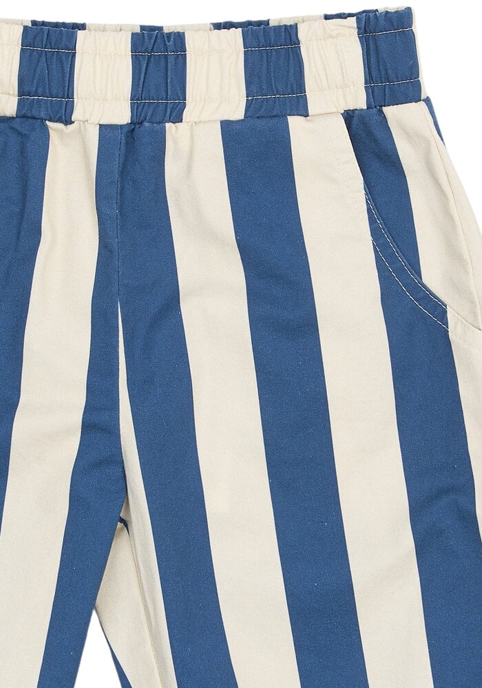 The New TNSTSilas Baggy Pants True Blue Striped