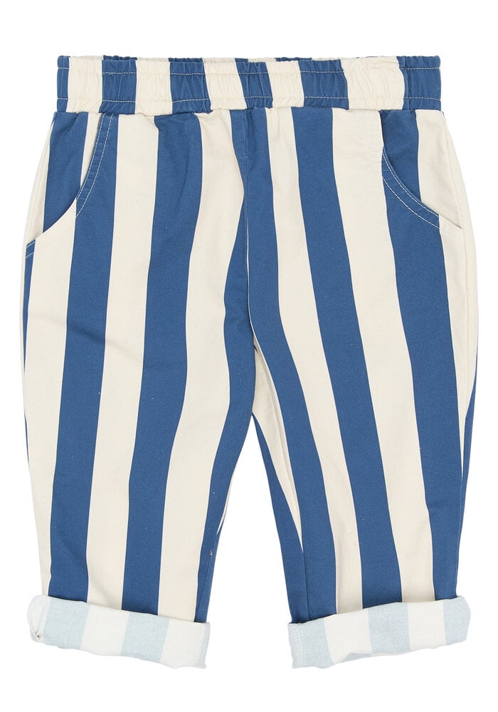 The New TNSTSilas Baggy Pants True Blue Striped