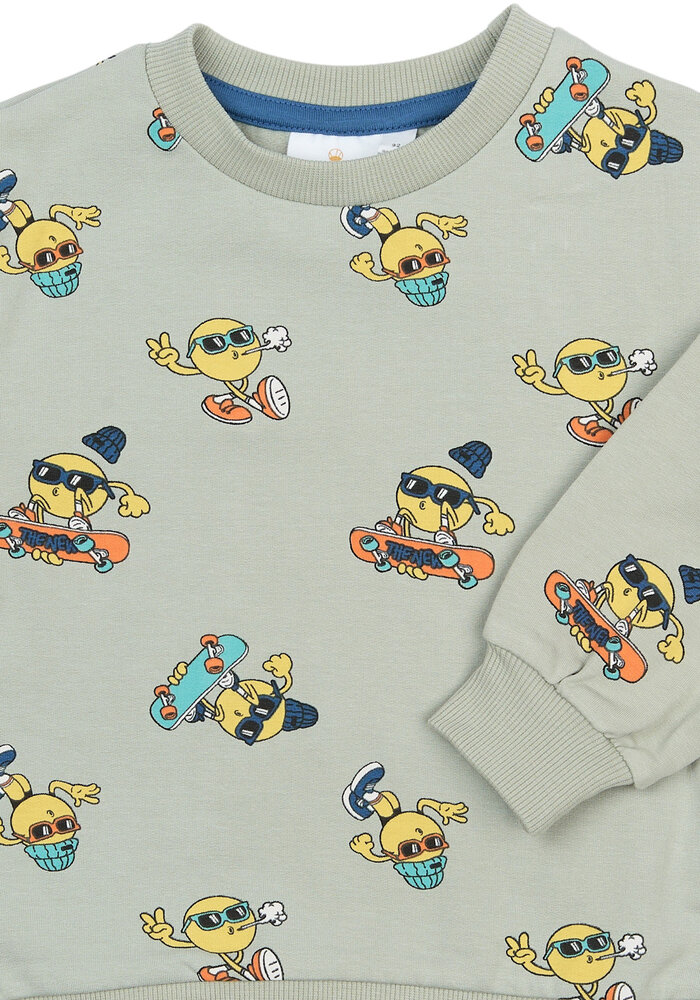 The New TNSTSantiago Sweatshirt Aqua Gray AOP