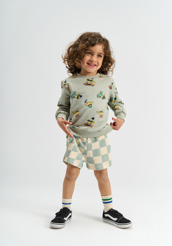 The New TNSTSantiago Sweatshirt Aqua Gray AOP