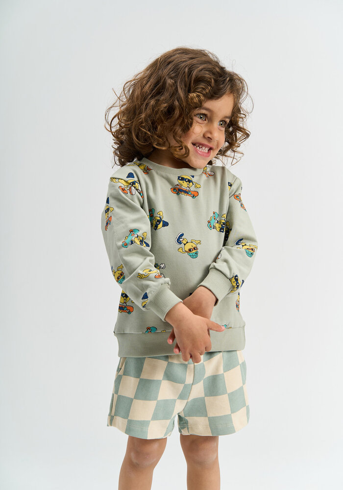 The New TNSTSantiago Sweatshirt Aqua Gray AOP