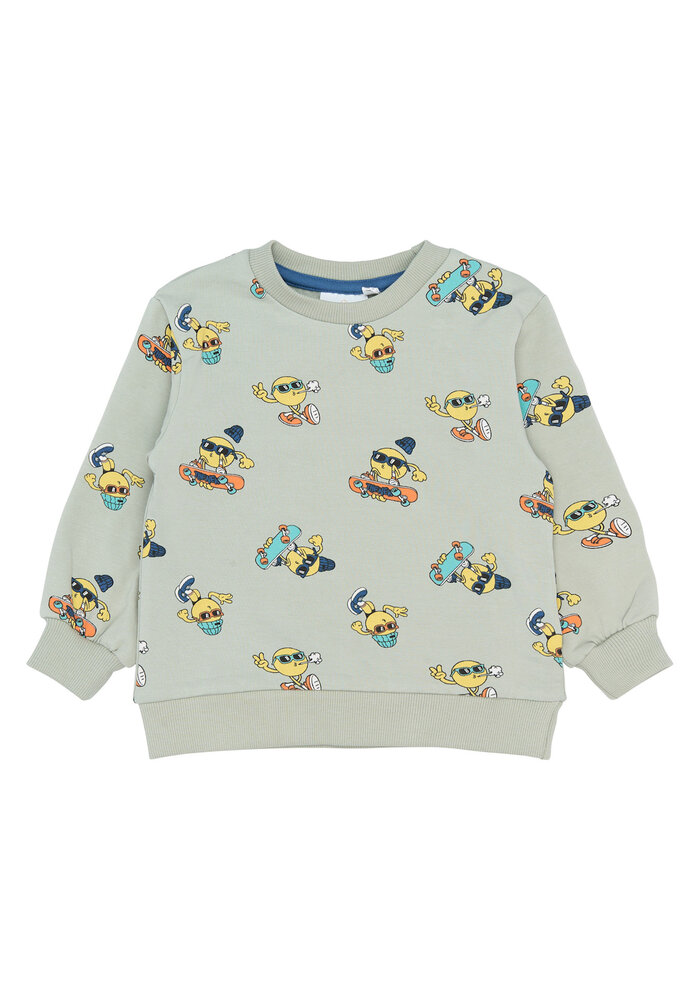 The New TNSTSantiago Sweatshirt Aqua Gray AOP