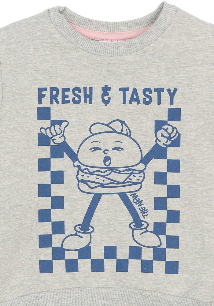 The New TNSTSamy Sweatshirt Light Grey Melange