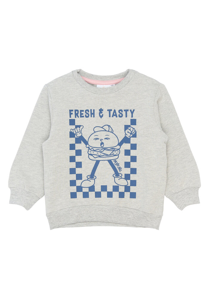 The New TNSTSamy Sweatshirt Light Grey Melange